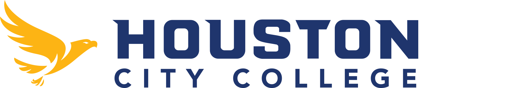 Houston City College