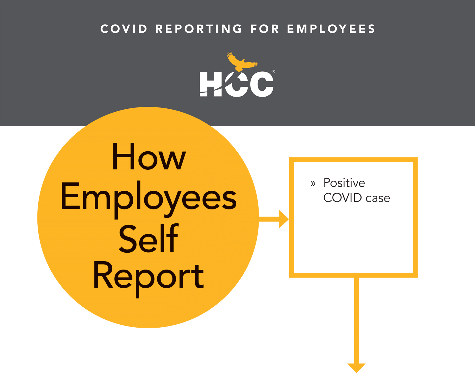 How Employees Self Report:  Positive Covid Case