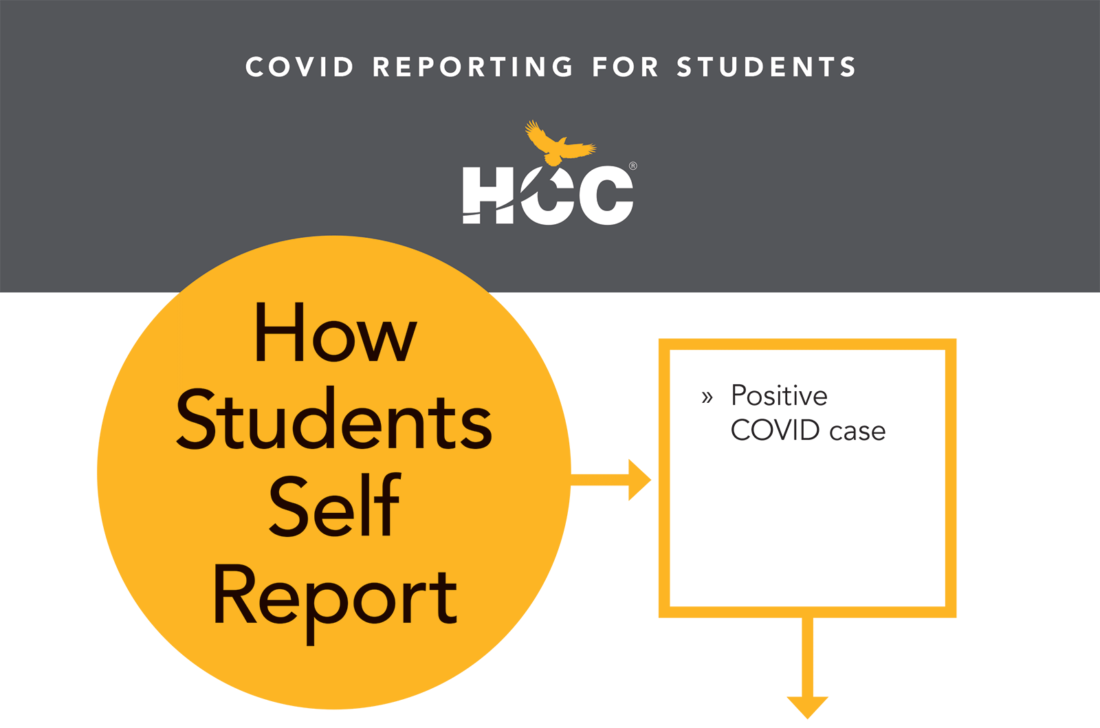 How Students Self Report:  Positive Covid Case